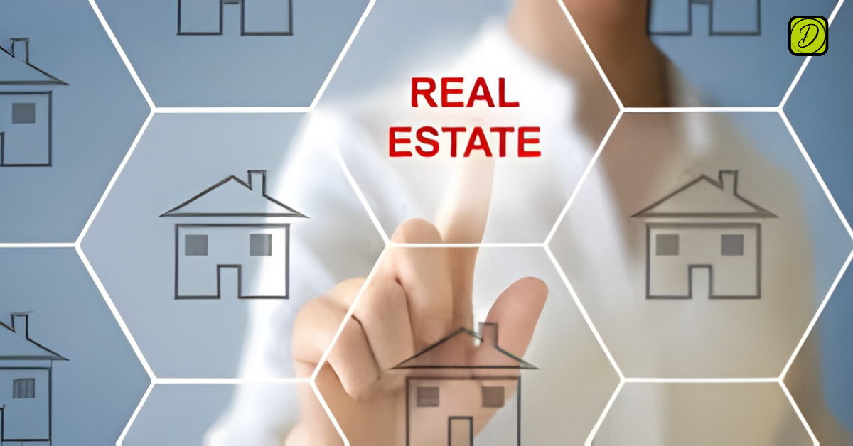 real-estate-company-in-kamalgazi
