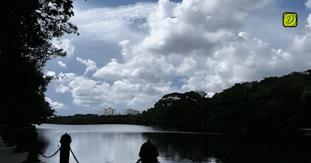 real-estate-company-in-lake-gardens